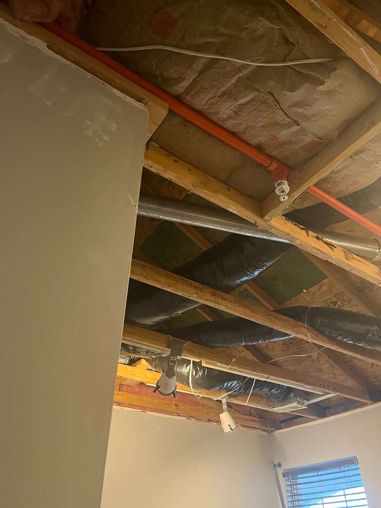 Restoration Services